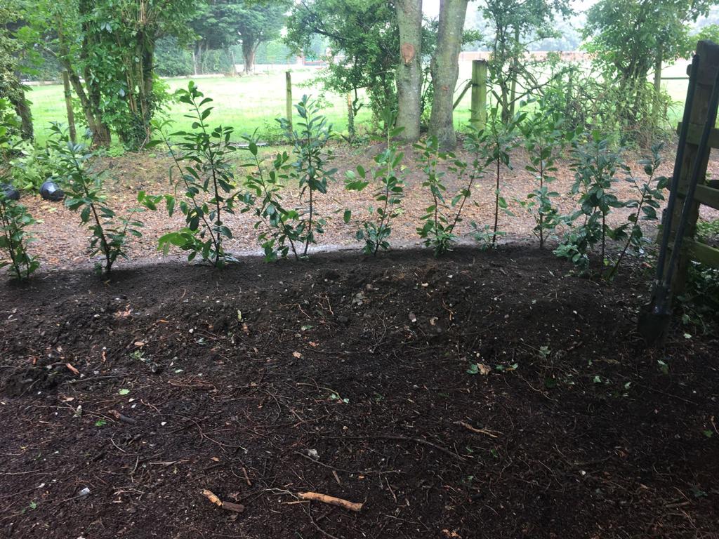 Garden Maintance Kent